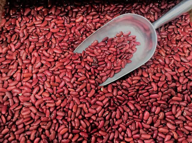 Kidney beans