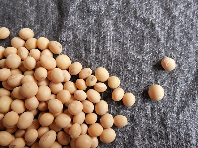 Soy beans